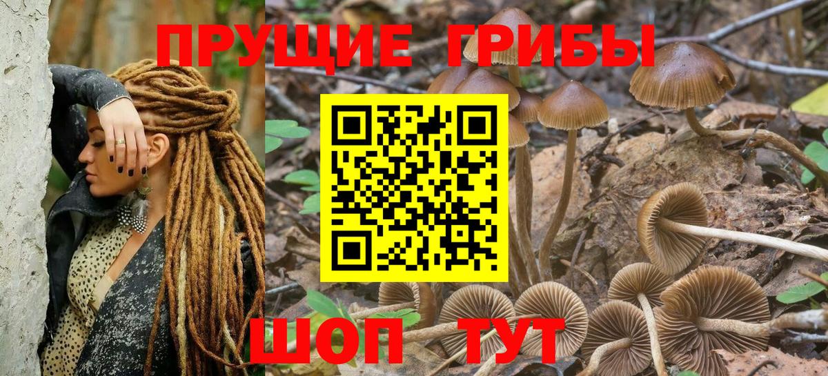 сколько стоит  Вход с VPN  Советск  Псилоцибиновые грибы Psilocybe  Галлюциногенные грибы Cubensis 